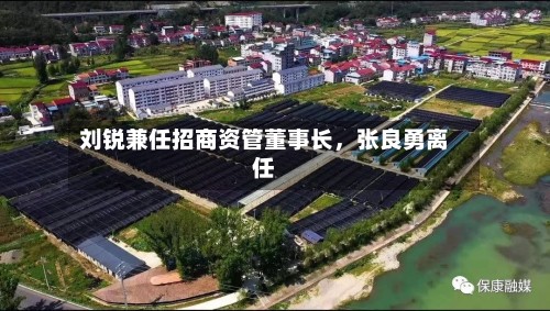 刘锐兼任招商资管董事长，张良勇离任-第2张图片