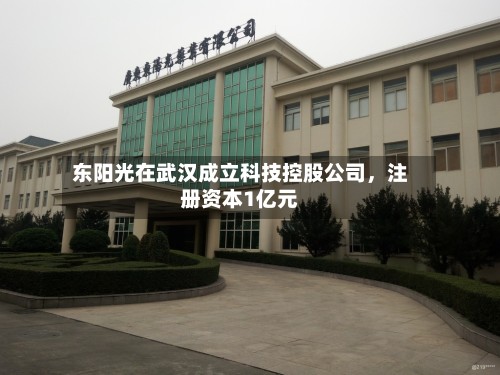 东阳光在武汉成立科技控股公司，注册资本1亿元-第1张图片