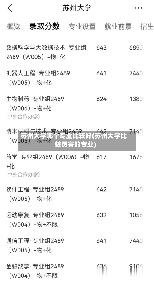 苏州大学哪个专业比较好(苏州大学比较厉害的专业)-第2张图片