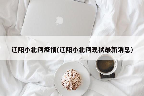 辽阳小北河疫情(辽阳小北河现状最新消息)