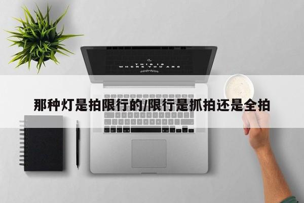 那种灯是拍限行的/限行是抓拍还是全拍